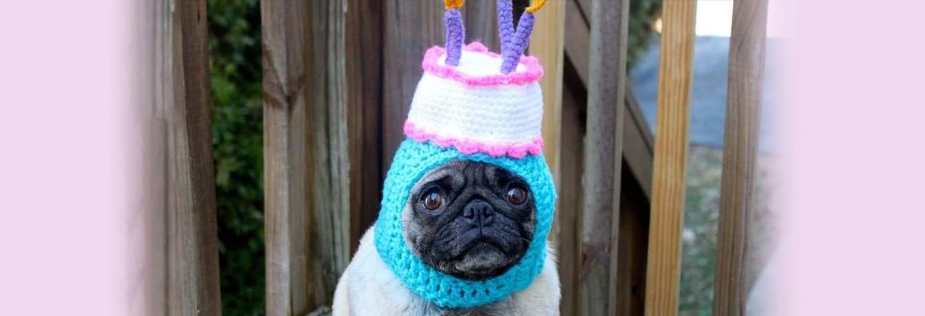january birthday struggles