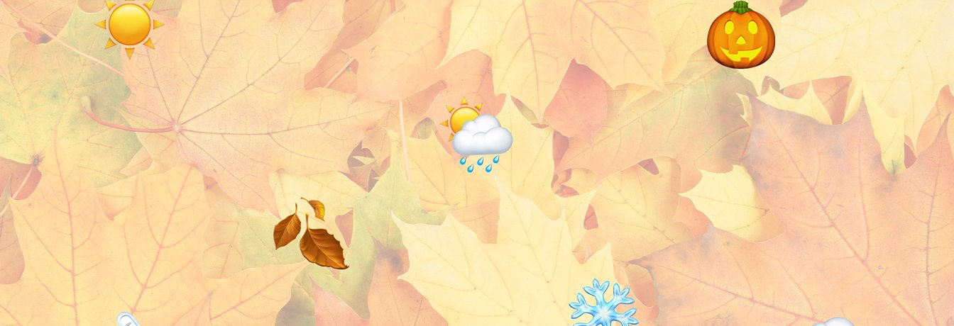 summer to winter