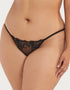 Bluebella Marseille Brazilian Brief Black