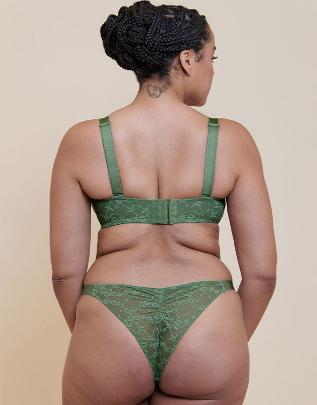 Curvy Kate All Night Lace Tanga Dusky Green
