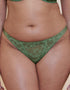Curvy Kate All Night Lace Tanga Dusky Green