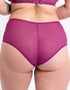 Curvy Kate Victory Short Orchid