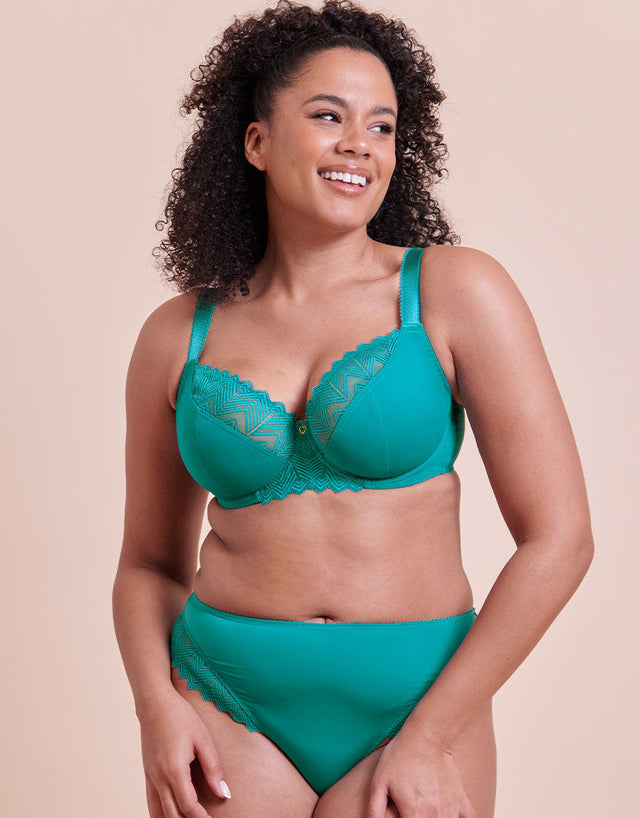 Curvy Kate Wild One Brazilian Brief Teal Blue