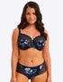 Fantasie Lucia Short Midnight Blue Print