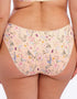 Fantasie Pippa Brief Summer Garden Print