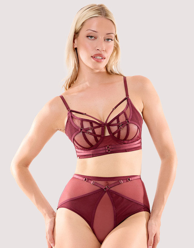 Playful Promises Eddie High Waist Brief Wine Purple