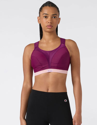 Collection: New In Lingerie