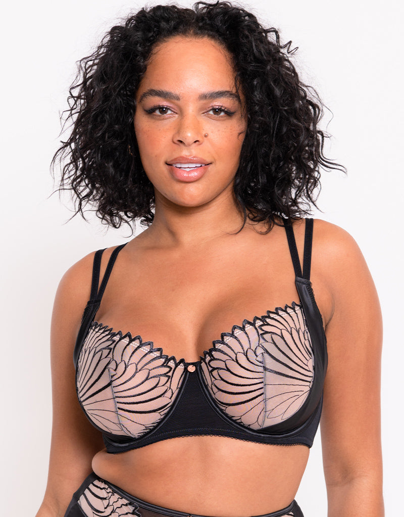 YOURS Plus Size Black Lace Embroidered Padded Balcony Bra