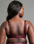 Scantilly Laced Up Plunge Bra Merlot