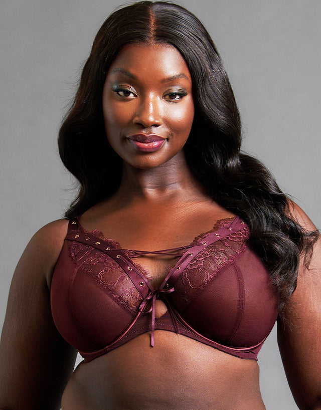 Scantilly Laced Up Plunge Bra Merlot