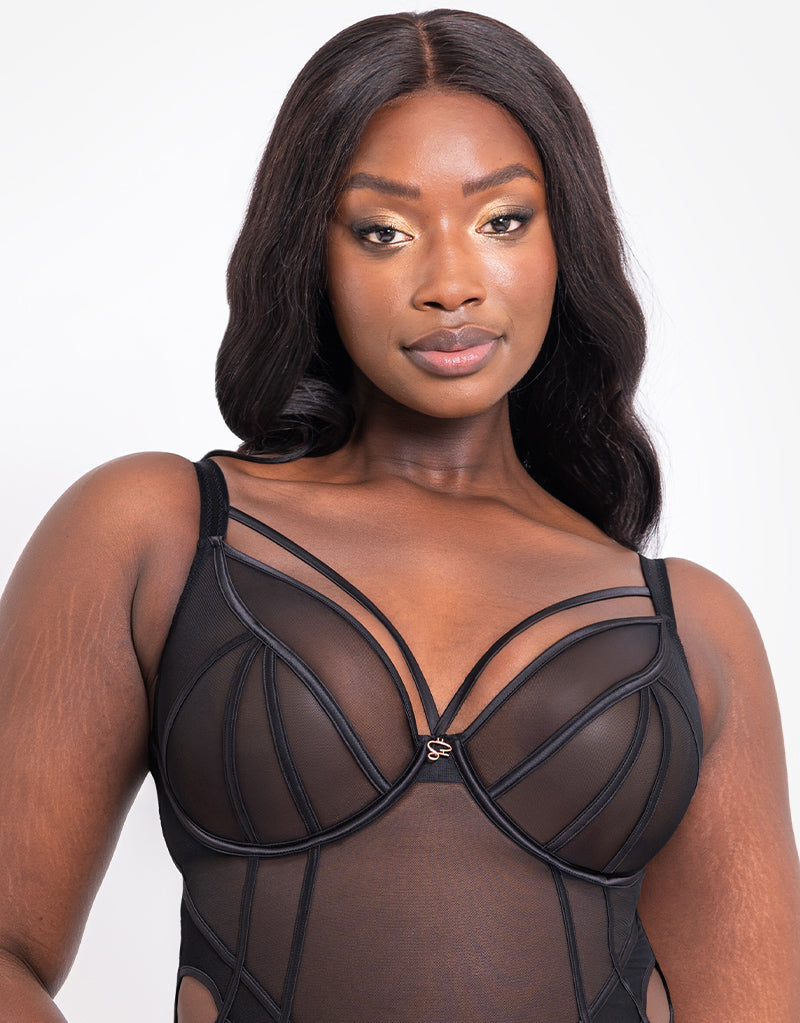 Scantilly Senses Plunge Bodysuit Black – Brastop US