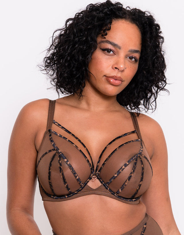 Scantilly Senses Plunge Bra Leopard Brown
