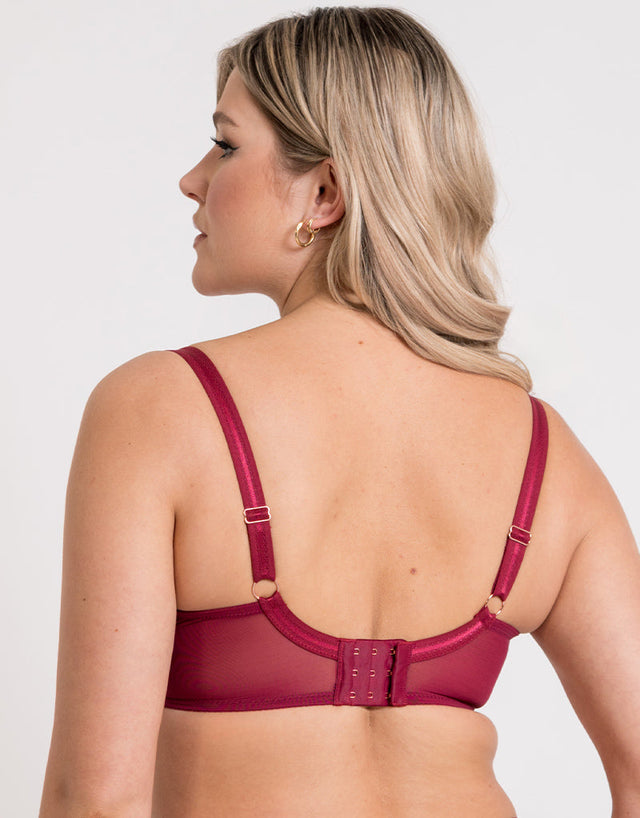 Scantilly Suspense Plunge Bra Sangria