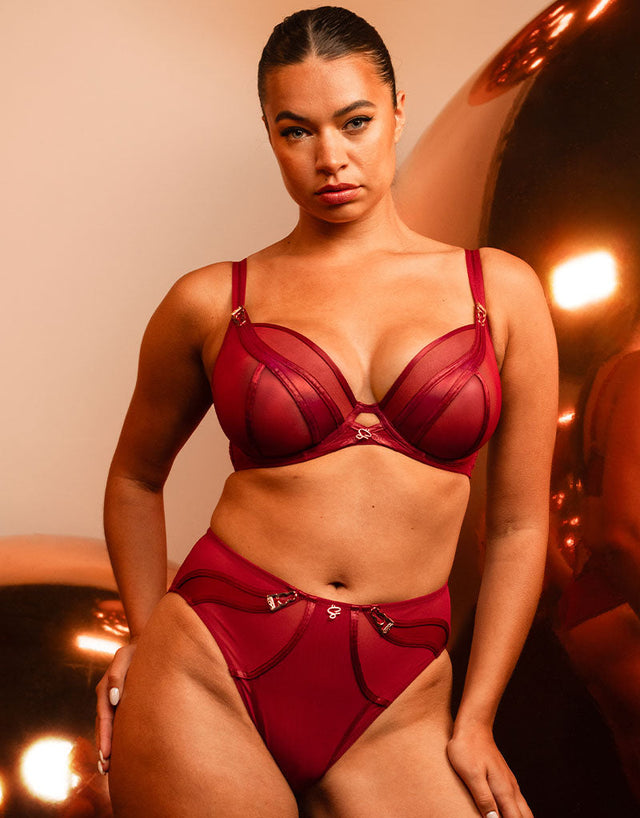 Scantilly Suspense High Waist Brief Sangria