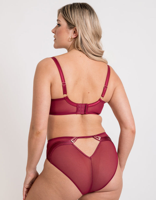 Scantilly Suspense Plunge Bra Sangria