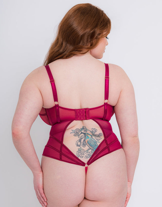 Scantilly Senses Plunge Bodysuit Cherry