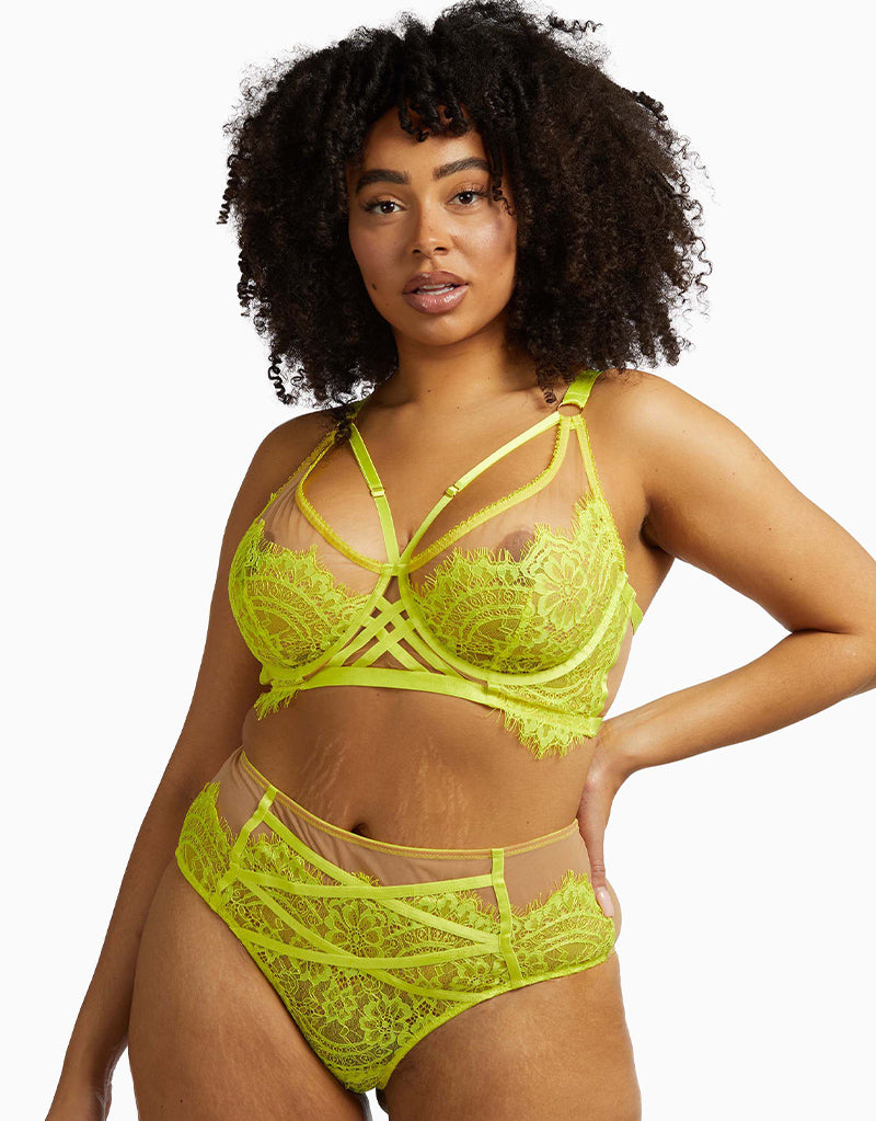 Viva Voluptuous Neon Green Plus Size Bra Bralette Full Cup Sheer lace  Lingerie US Sizes 36D to 50DD. (38D) : : Clothing, Shoes &  Accessories