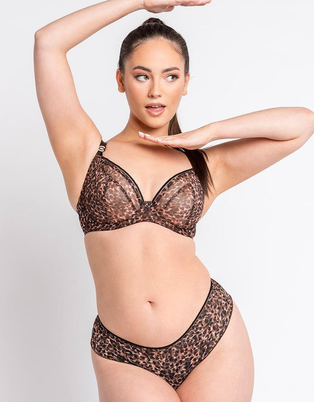 Curvy Kate Lifestyle Plunge Bra Animal Print