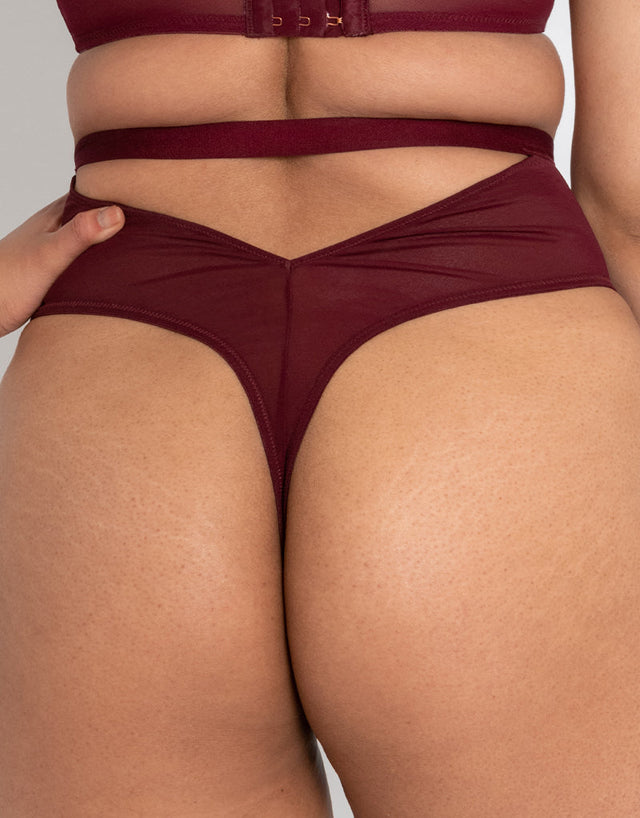 Scantilly Buckle Up Thong Oxblood