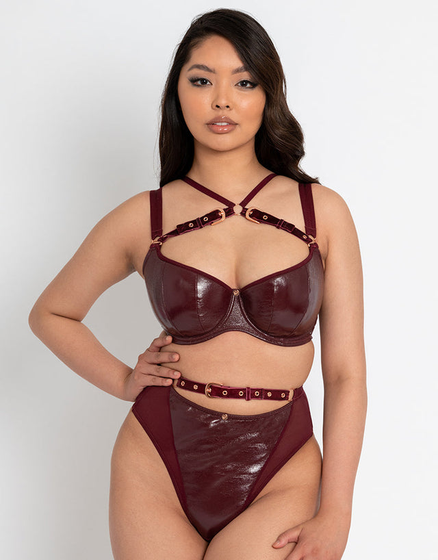 Scantilly Buckle Up Thong Oxblood