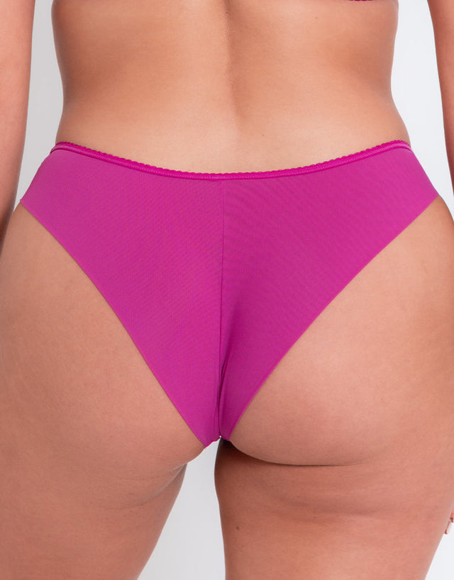 Curvy Kate Drama Queen Brazilian Brief Fuchsia Print