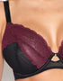 Curvy Kate In Love with Lace Plunge Bra Black/Wine