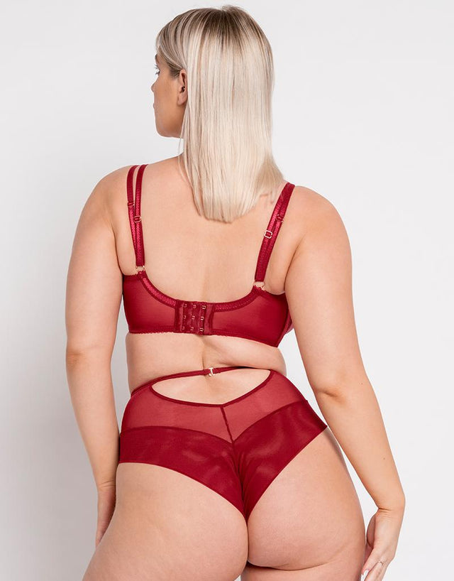 Scantilly Fallen Angel Balcony Bra Garnet Red