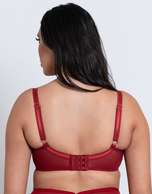 Scantilly Unchained Plunge Bra Deep Red