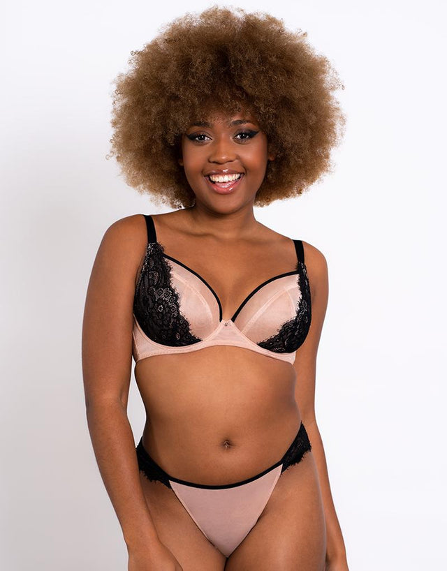 Curvy Kate Lifestyle Lace Brazilian Brief Latte/Black