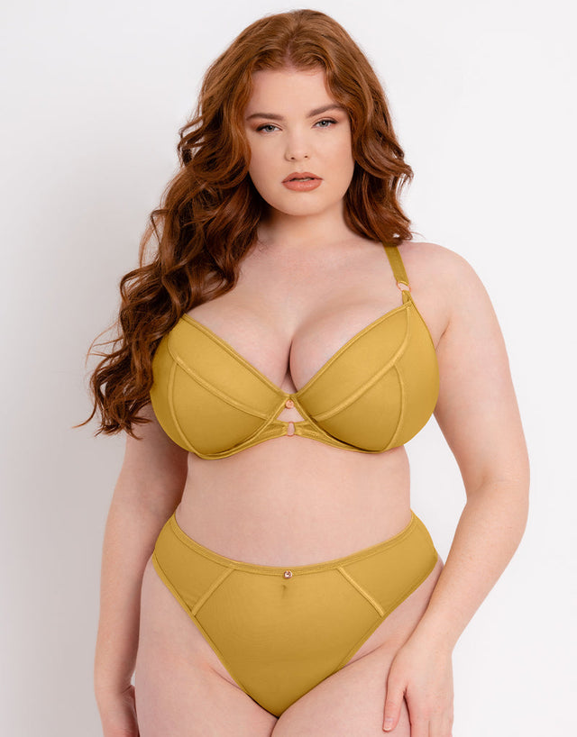 Scantilly Exposed High Waist Thong Ochre