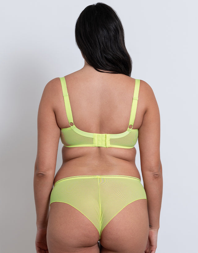 Curvy Kate Lifestyle Short Zest